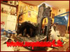 Presepe di Vito Fera realizzato nel 2011 per un amico capistranese